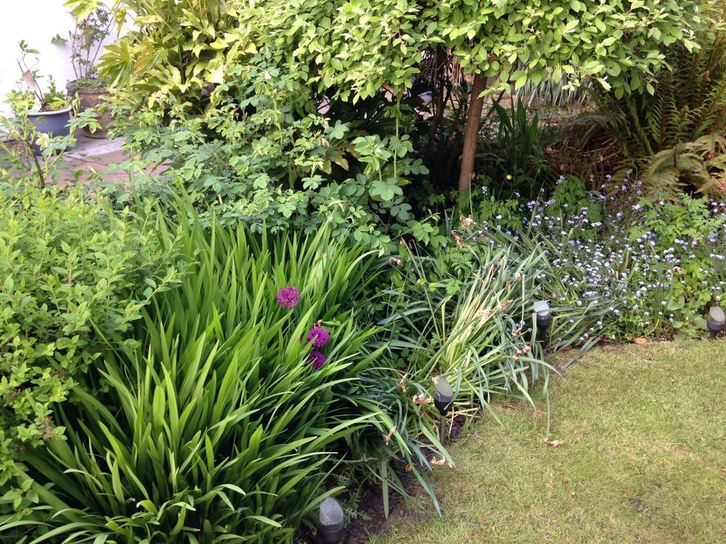 Willow Cottage B&B Yeadon Eksteriør billede